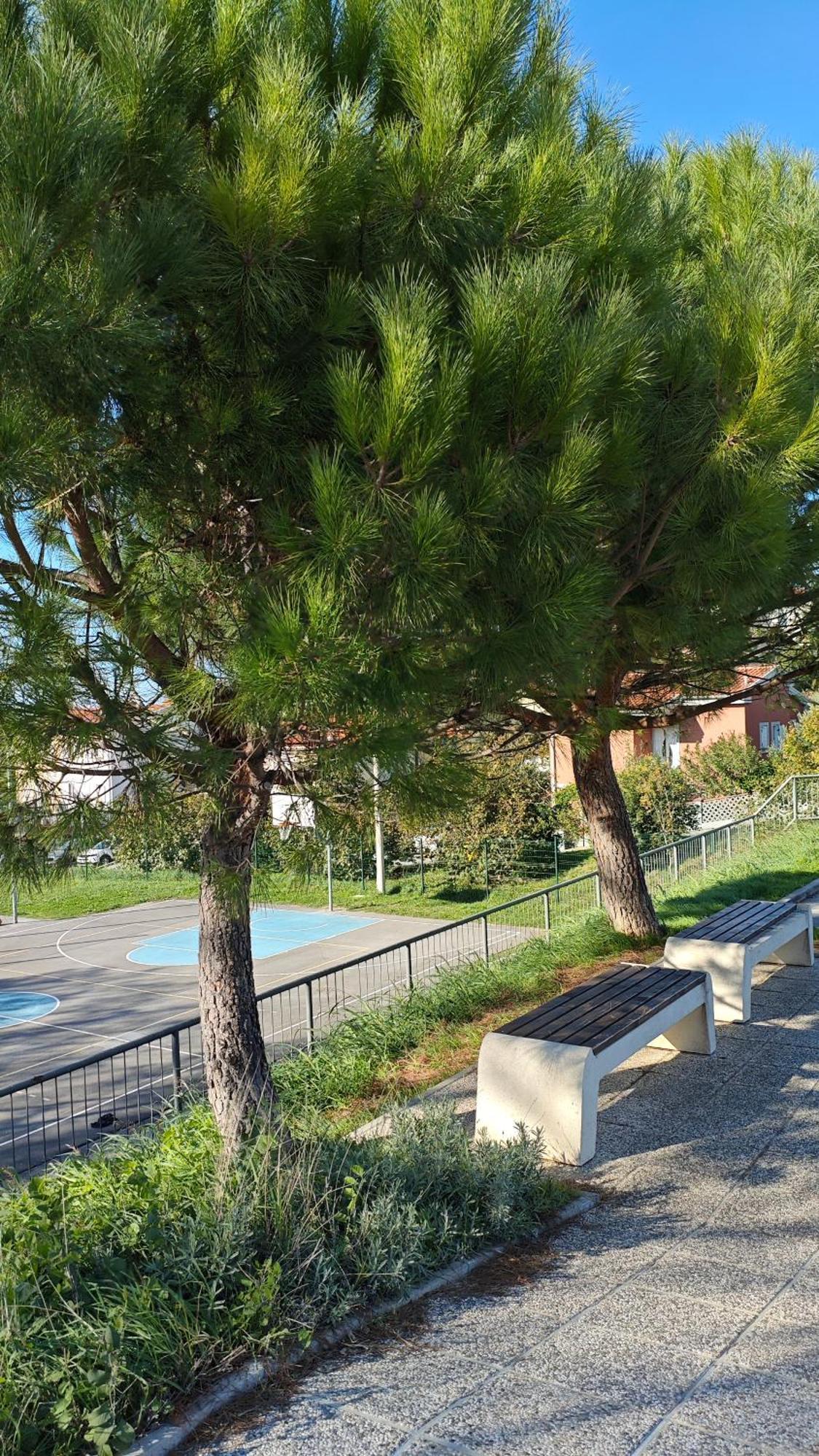 Apartments Tomisic Koper Luaran gambar